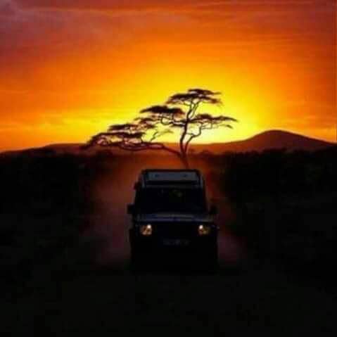 PHOTO 2019 03 14 18 32 06