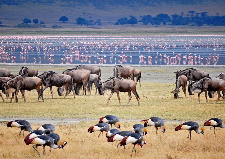 Manyara National Park